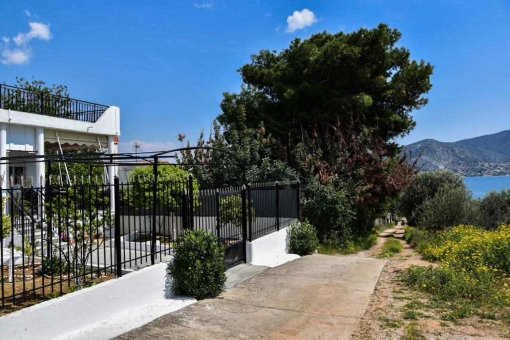 Μονοκατοικία Δίπλα Στην Θάλασσα Σαλαμίνα Εξωτερικό φωτογραφία